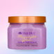 Скраб для тіла Tree Hut Moonlight Glow Sugar Scrub 075371003684 фото 1
